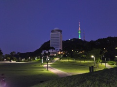 2017/06/17_夜の南山公園