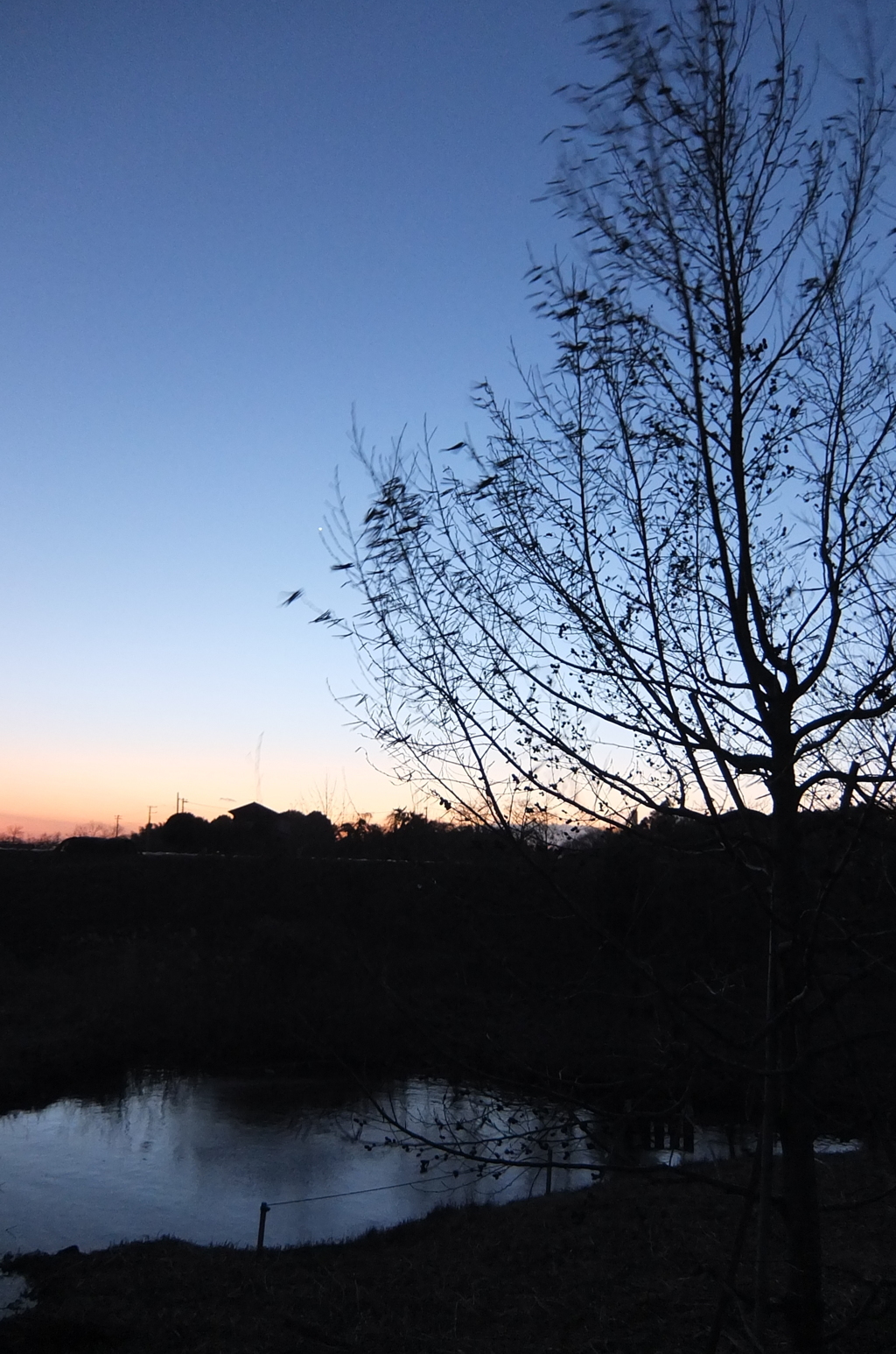 2015/02/15_夕暮れの秋葉の森総合公園