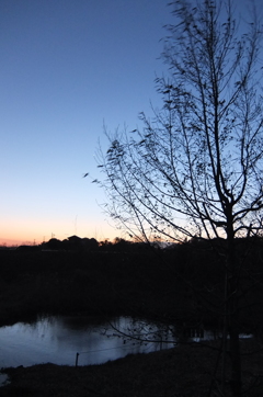 2015/02/15_夕暮れの秋葉の森総合公園