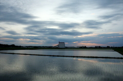 2015/06/21_水田の夕暮れ
