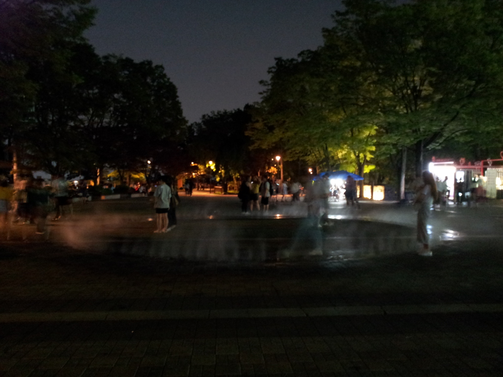 2017/06/17_夜のNソウルタワーの下のミスト
