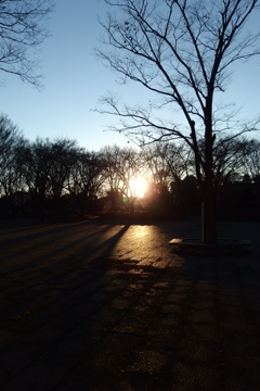 2015/12/19_城山公園の夕暮れ