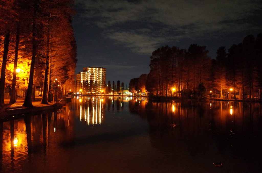 2014/12/07_夕暮れの別所沼公園