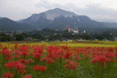 2015/09/21_寺坂棚田の彼岸花と武甲山