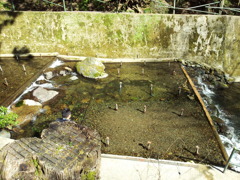 2019/04/13_貴船川
