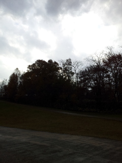 2016/11/13_三内丸山遺跡の空