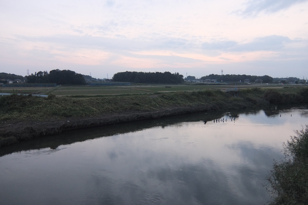 2014/10/12_元荒川の夕暮れ