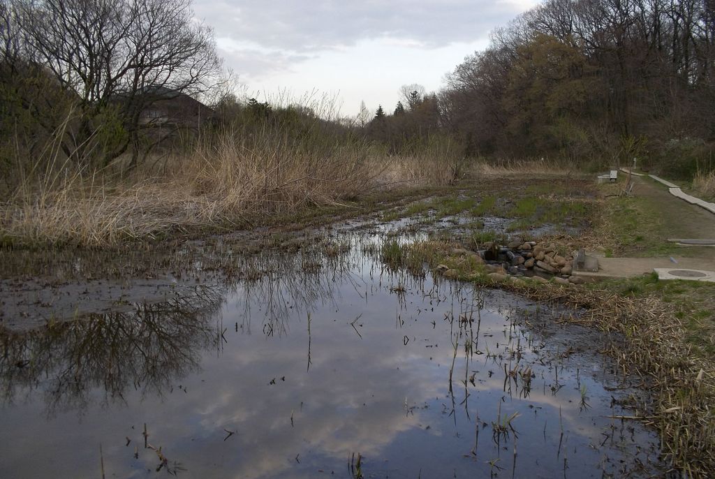 2016/03/26_北本自然観察公園
