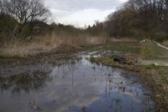 2016/03/26_北本自然観察公園