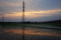 2015/06/14_水田の夕暮れ、天使の梯子