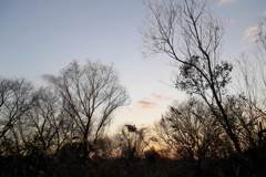2015/12/31_夕暮れ