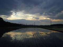 2017/06/10_水田の夕暮れ