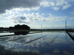 2017/05/14_水田に雲