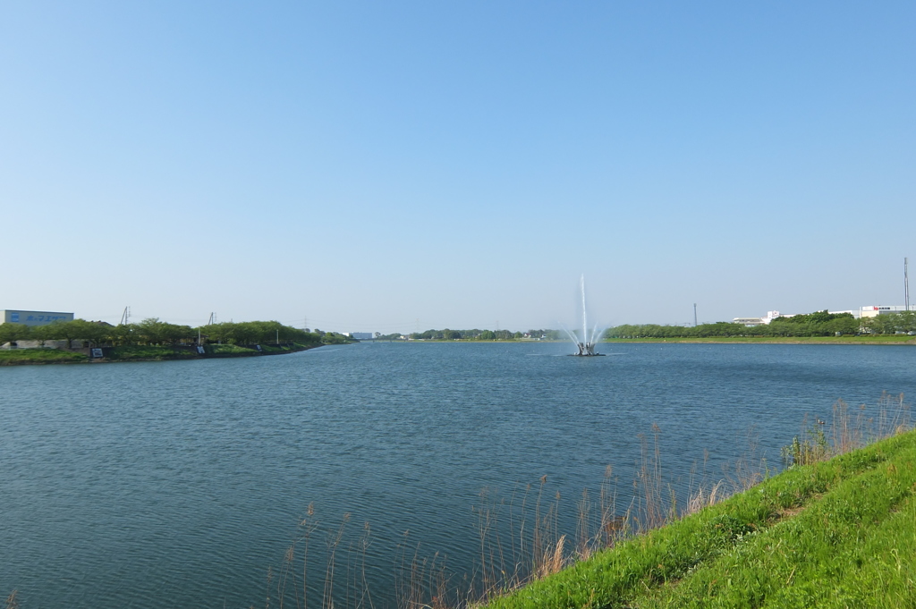 2015/04/26_権現堂川（行幸湖）