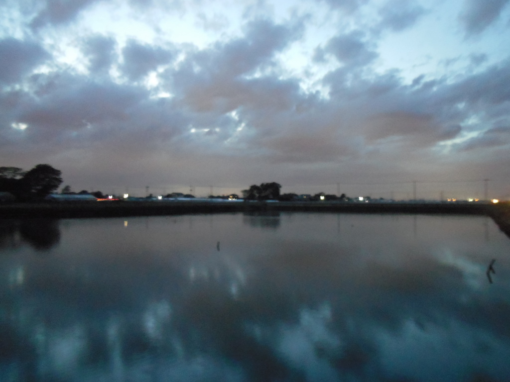 2016/11/26_溜め池の夕暮れ（没カット）