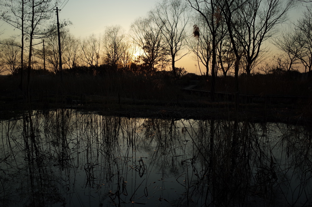 2015/02/11_ホタルの里