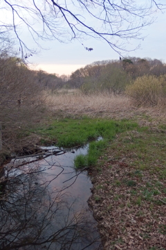 2016/03/26_北本自然観察公園