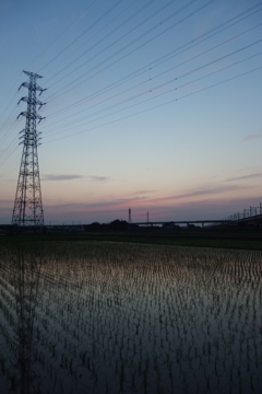 2016/06/18_水田の夕暮れ