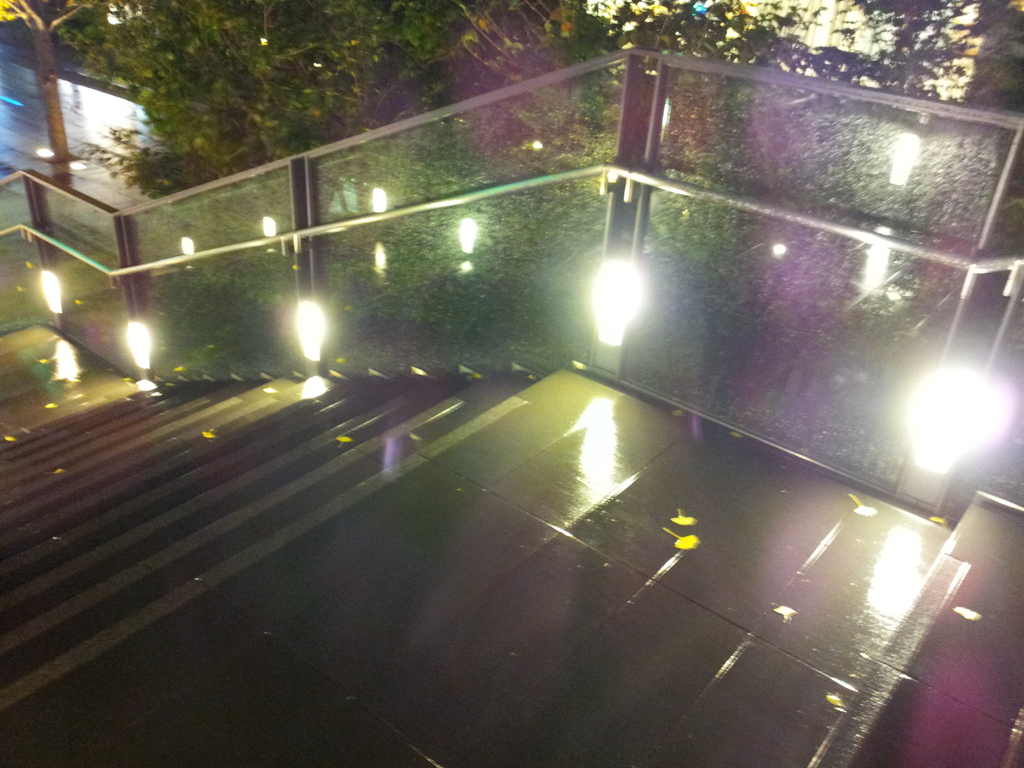 2014/11/26_夜、雨上がりの秋葉原