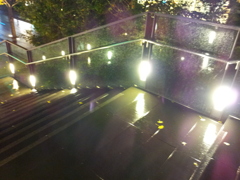 2014/11/26_夜、雨上がりの秋葉原