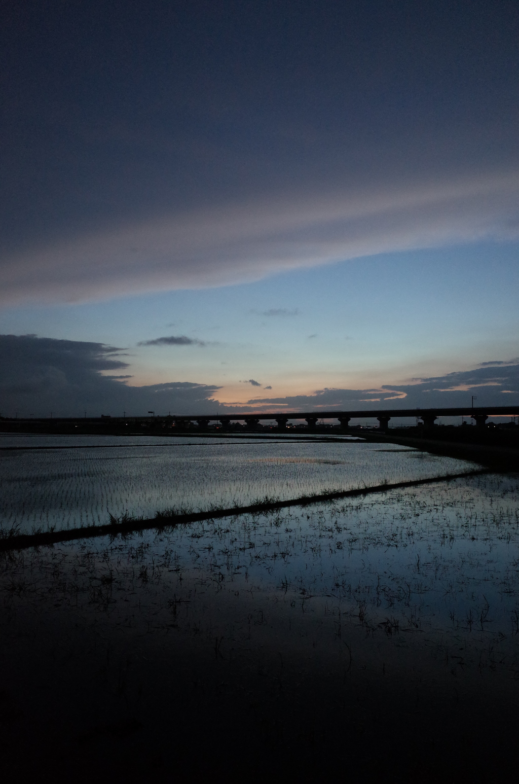 2015/06/28_水田の夕暮れ