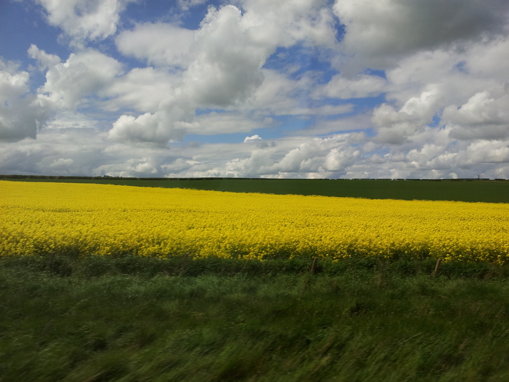 2016/05/22_エディンバラ〜ロンドン間車窓風景
