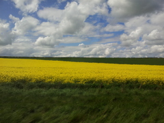 2016/05/22_エディンバラ〜ロンドン間車窓風景