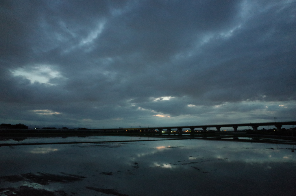 2015/06/21_水田の夕暮れ