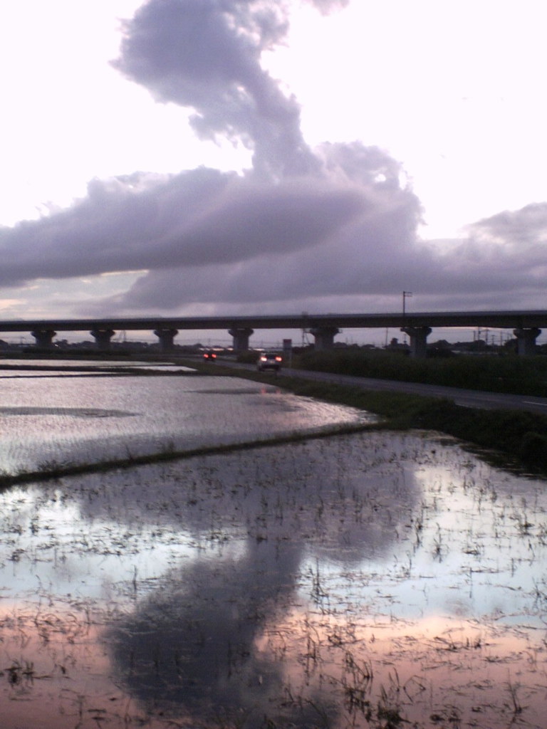 2015/06/28_水田の夕暮れ