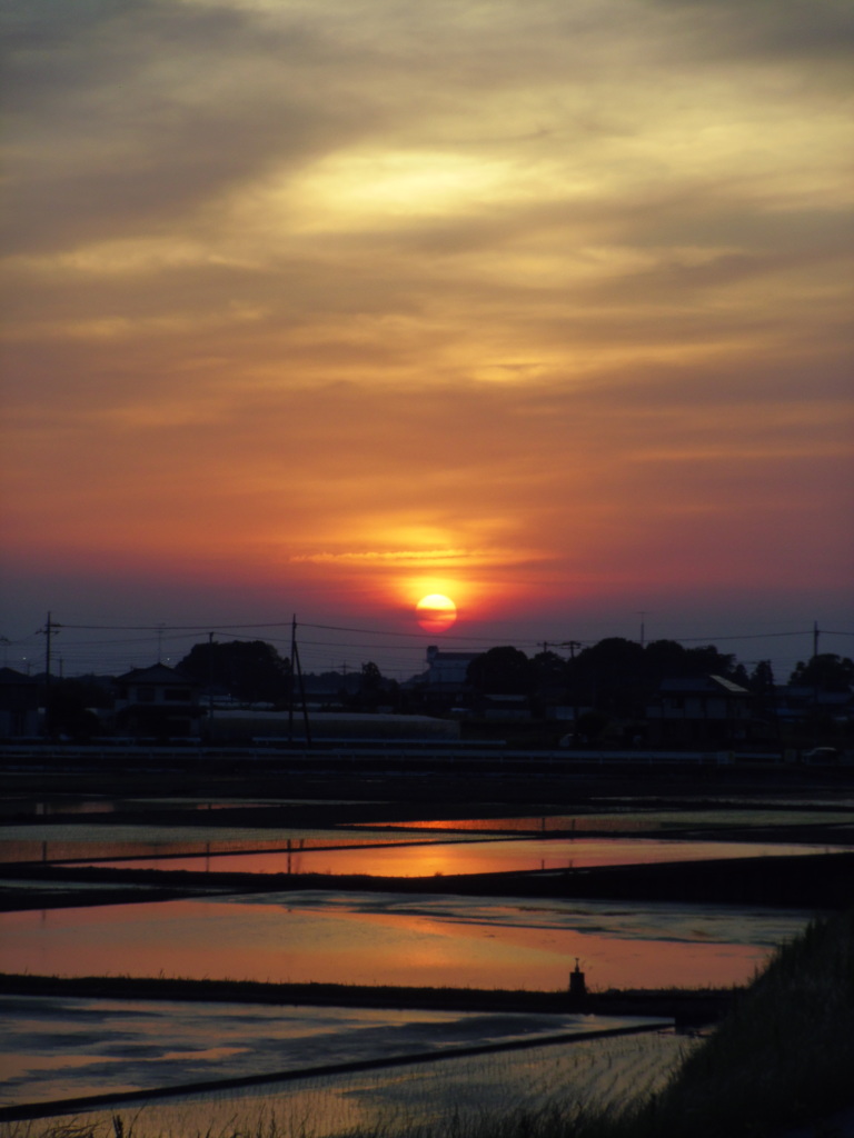 2017/05/21_水田の夕日