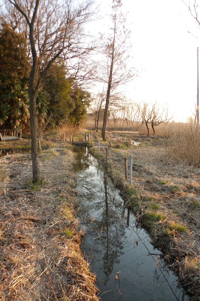 2015/02/11_ホタルの里