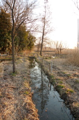 2015/02/11_ホタルの里