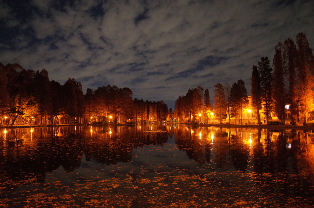 2014/12/07_夕暮れの別所沼公園