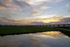 2015/07/19_水田の夕暮れ