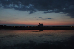 2016/06/05_水田の夕暮れ