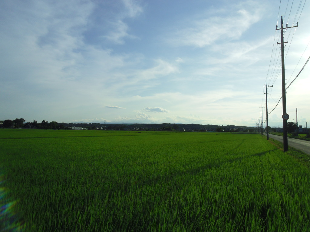 2016/07/10_田園