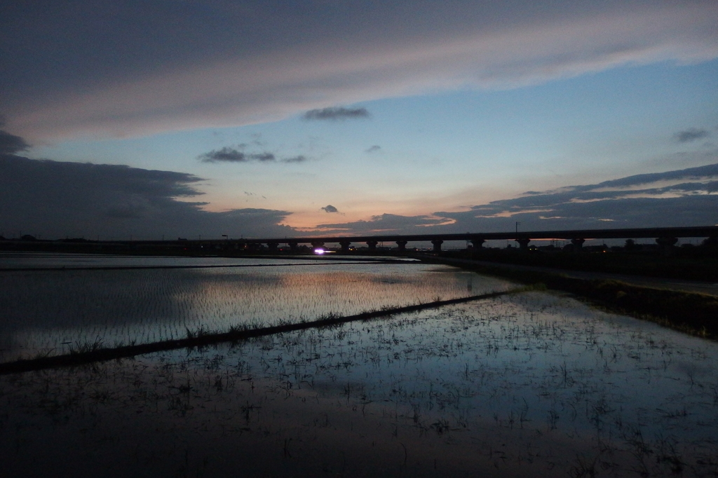 2015/06/28_水田の夕暮れ