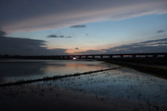 2015/06/28_水田の夕暮れ