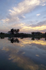 2015/10/03_柴山沼の夕暮れ