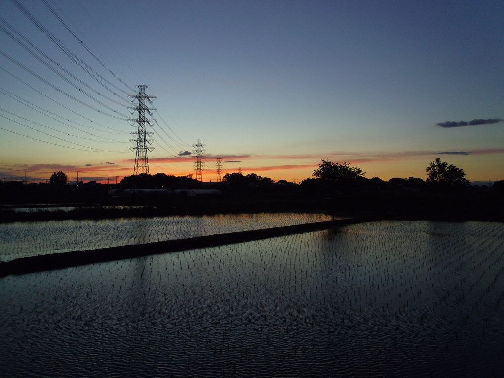 2017/06/03_水田の夕暮れ