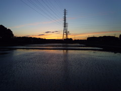 2017/06/03_水田の夕暮れ