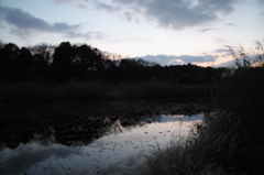 2015/12/31_赤坂沼の夕暮れ