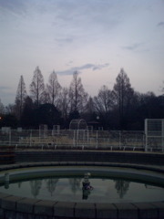 2016/02/13_夕暮れの伊奈町制施行記念公園