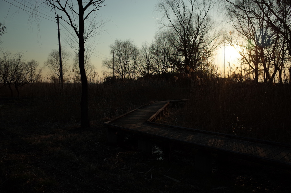 2015/02/11_ホタルの里