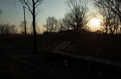 2015/02/11_ホタルの里