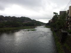 2016/05/12_浅野川大橋から梅の橋（下流）方面を望む