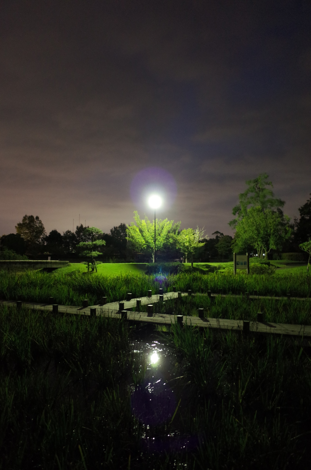 2015/10/04_夕暮れの平成の森公園