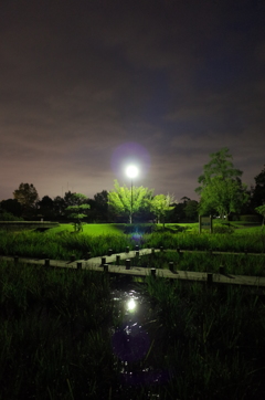2015/10/04_夕暮れの平成の森公園