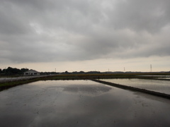 2017/05/27_水田の曇天