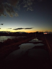 2016/12/23_水溜まりと溜め池の夕暮れ